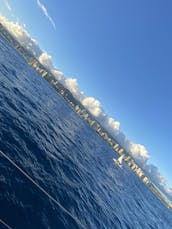 Navegue privado al atardecer en un yate de lujo, ¡vea ballenas, delfines y tortugas!        