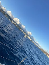 Naviguez en privé au coucher du soleil sur un yacht de luxe et observez des baleines, des dauphins et des tortues !        