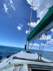 Naviguez en privé au coucher du soleil sur un yacht de luxe et observez des baleines, des dauphins et des tortues !        