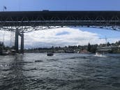 Cruise Lake Washington onboard an 18' Sea Ray Powerboat!