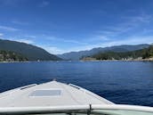 24’ Campion Allantte Powerboat for rent in Vancouver British Columbia