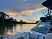 Bowrider to Cruise in Lake Hosuston/San Jacinto River + Watersports +  Drone & 360 photo & video available