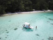 12ft boat 6HP without Licence in Moorea