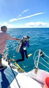 Croisière privée dans votre propre catamaran à moteur de 46 passagers 