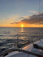 Naviguez en privé au coucher du soleil sur un yacht de luxe et observez des baleines, des dauphins et des tortues !        