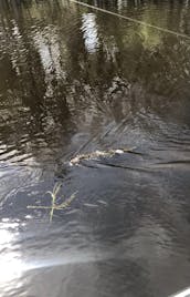 Bateau de pêche à l'achigan à Saint-Cloud sur le grand lac Toho