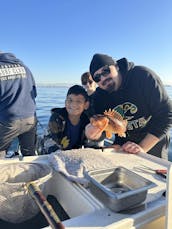 Pesca esportiva em Los Angeles: 1/2 excursões de um dia inteiro, locais e insulares, freelance