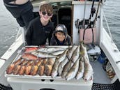 Pesca esportiva em Los Angeles: 1/2 excursões de um dia inteiro, locais e insulares, freelance