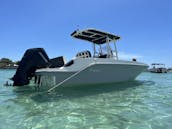 Bayliner Trophy T22 Center Console Rental in Holmes Beach, Florida