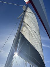 2017 Robertson y Caine Leopard 40 - Catamarán de lujo 