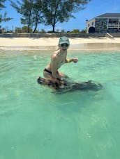 Swim with Pigs, Snorkel with Turtles & Beach Day!