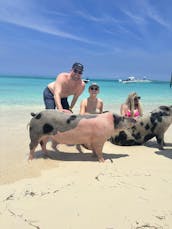 Swim with Pigs, Snorkel with Turtles & Beach Day!