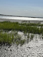 Sightseeing/Sunset/Booze/Dolphin Cruises/in Folly Beach, South Carolina