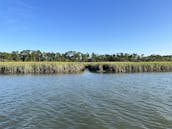 Sightseeing/Sunset/Booze/Dolphin Cruises/in Folly Beach, South Carolina