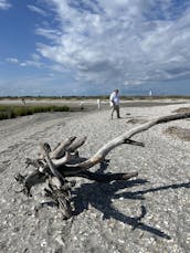 Sightseeing/Sunset/Booze/Dolphin Cruises/in Folly Beach, South Carolina