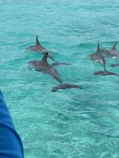 Destin Crab Island on a Captained Pontoon Boat