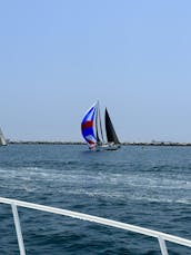 Visite touristique et excursion avec les dauphins à bord du yacht à moteur Bertram Express de 42 pieds à Los Angeles