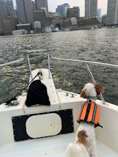 Your Boston Harbor Experience with Captain David