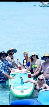 Crab Island/Dolphins/Snorkeling on a Captained Pontoon Boat