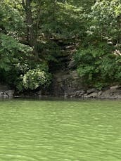 Lake Memories on an Amazing Sea Ray 240 Sundeck Boat at Lake Lanier