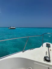 Beautiful 51' Sea Ray Motor Yacht in Cancún