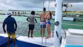 Snorkeling with Professional Guide EXCLUSIVE VIP SERVICE!!
