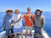 Pesca esportiva em Los Angeles: 1/2 excursões de um dia inteiro, locais e insulares, freelance