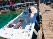 8 person Powerboat for Charter in Muğla, Turkey