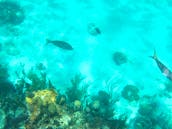 32ft Proline 4 Island Snorkeling Tour in Bahamas!