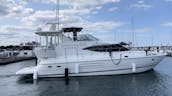 Spacious 50’ Yacht w/swim platform for rent @ 31st Harbor Charterer + 12 guests