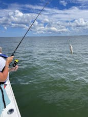 Proline 23ft Center Console Fishing Boat for Charter in Suffolk