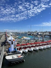 Aluguel de pedalinhos - aceita cães na Baía de San Diego! Passeios acessíveis e à sombra do sol!