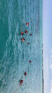 Catamarã de barco de festa de luxo em Punta Cana