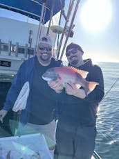 Pesca esportiva em Los Angeles: 1/2 excursões de um dia inteiro, locais e insulares, freelance