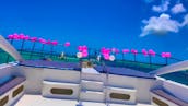 🎊Birthday-Bachelorette luxury package private Boat🛥️🏝️🍾 PARTY in Punta Cana