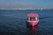 Pink party Boat cruise in San Diego Bay for up to 8 passengers