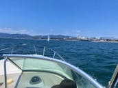 260 Sundancer Sea Ray Good Times on the water in Marina del Rey
