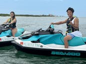 DOLPHIN TOUR CLEARWATER JETSKI 3 PASSENGER HONEYMOON ISLAND BLUETOOTH FAST SKI