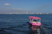 Pink party Boat cruise in San Diego Bay for up to 8 passengers