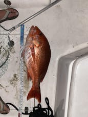 Center Console in Destin, Fort Walton Beach, Navarre, Pensacola 