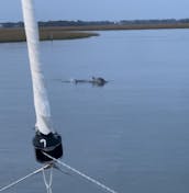 FOLLY BEACH CATAMARAN SUNSET SAIL, departing Folly River boat landing 190/hr