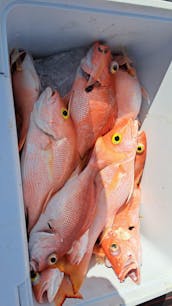 Perfect center console for fishing and beach trips