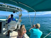 🌟 26ft Private Boat in Puerto Vallarta - 8 people🐋