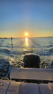 Century 22'  Clearwater Beach FL - Cruises, tours, sunsets, sandbars and more!