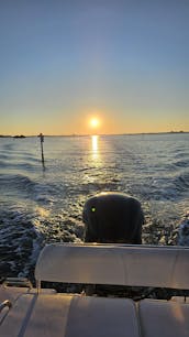 Century 22' Clearwater Beach FL - Cruises, tours, sunsets, sandbars and more!