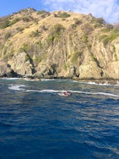Unbelievable Snorkeling Charter to the outer reefs of Rincon and Desecheo !