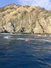 Incrível carta particular de mergulho com snorkel para os recifes de Rincon e da Ilha Desecheo