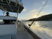 Visites privées et plongée avec tuba aux îles Icacos et Palomino - Grady White 27'