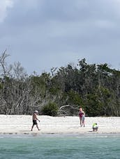 Plage, dauphins, déjeuner et couchers de soleil sur le yacht Silverton de 39 pieds