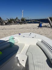 Console centrale de 22 pieds pour s'amuser, aller à la plage, déjeuner sur l'eau, faire des visites touristiques !